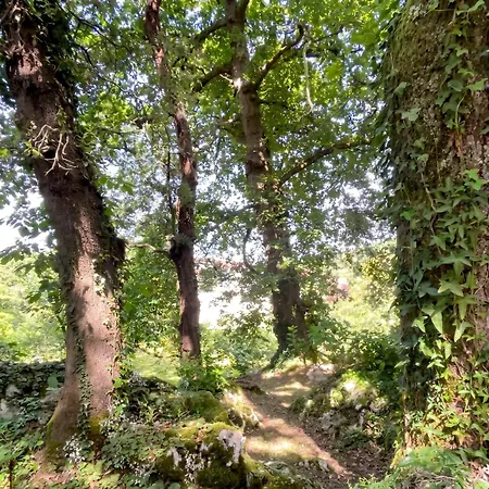 Casa Con Bosque En Cantabria